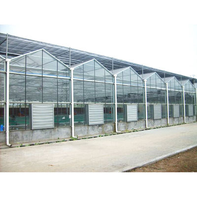 品質  Tomato Mushroom Growing with Commercial Hydroponic Systems Gothic Polycarbonate Cover Type Greenhouse 工場