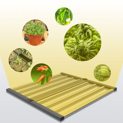 品質  Seed Seed Growing Full Spectrum 600W Indoor Plants Hydroponic Lamp Folding Greenhouse Lamp Dimmable 4x4 lm301h Led Grow Light 工場